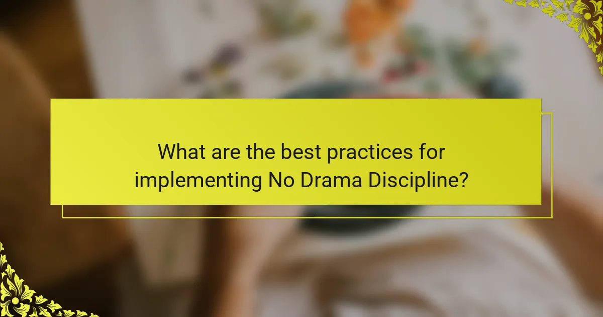 What are the best practices for implementing No Drama Discipline?
