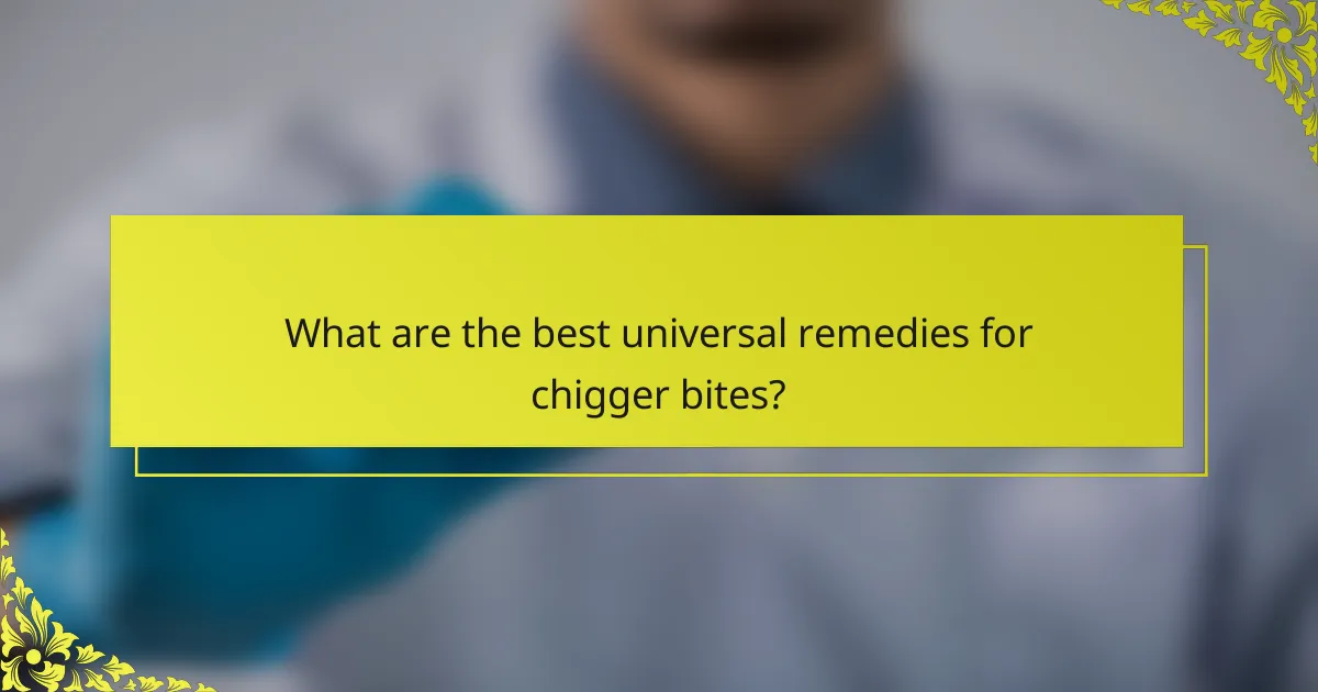 What are the best universal remedies for chigger bites?